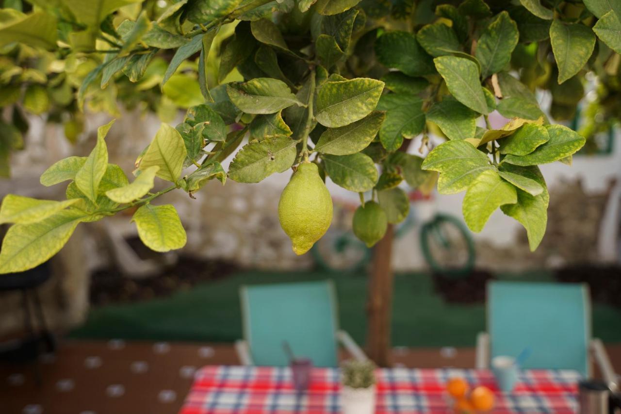 Holiday home Casa Singular Y Con Encanto *